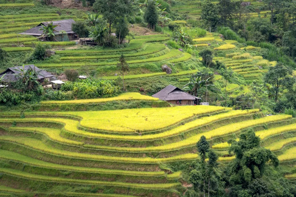 Kho gạo của Nguyễn Ra